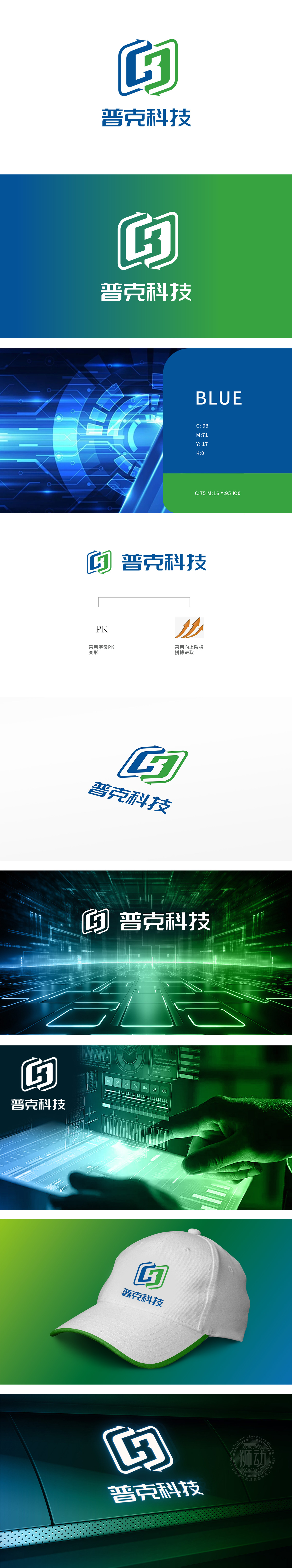 普克科技 IT/软件/研发 LOGO设计