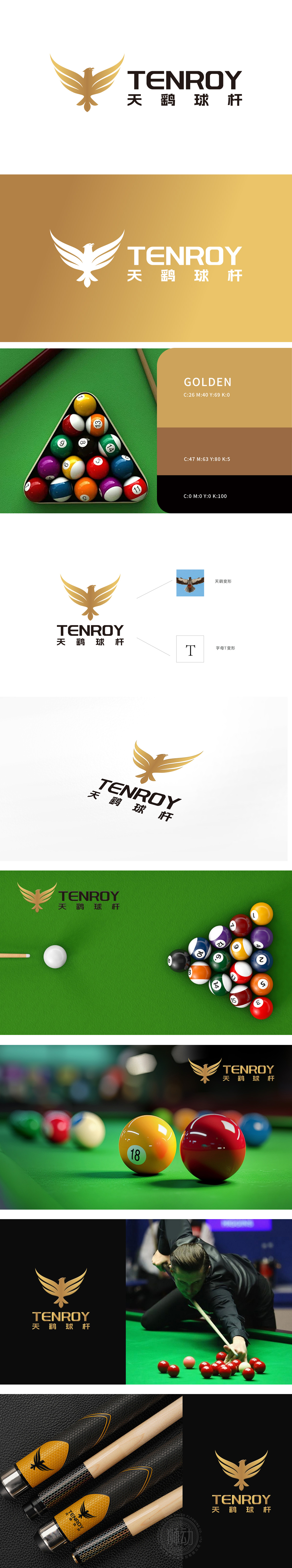 天鹞球杆	体育/娱乐器具	LOGO设计