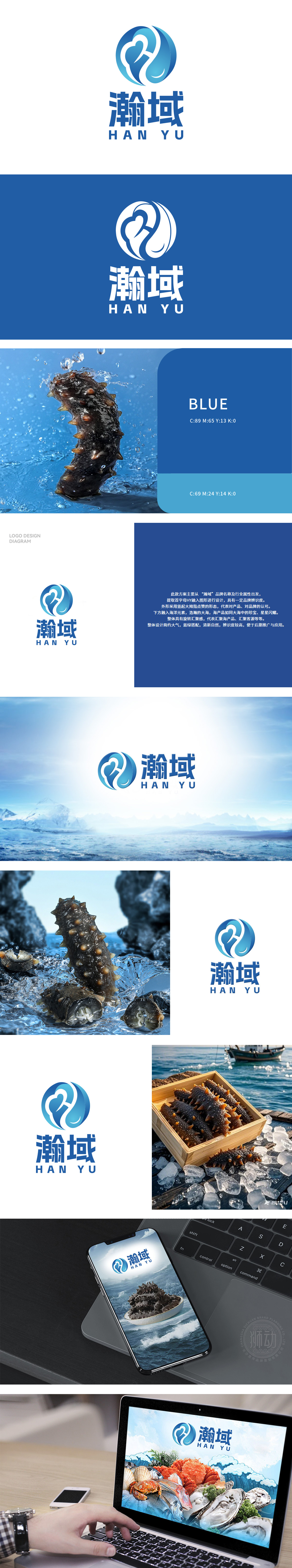 瀚域	食品	LOGO设计