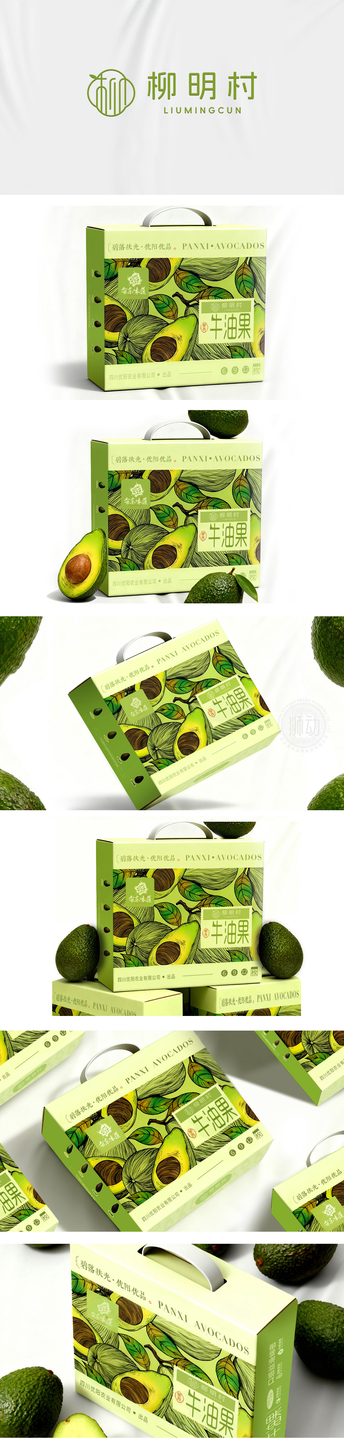 柳明村牛油果包装