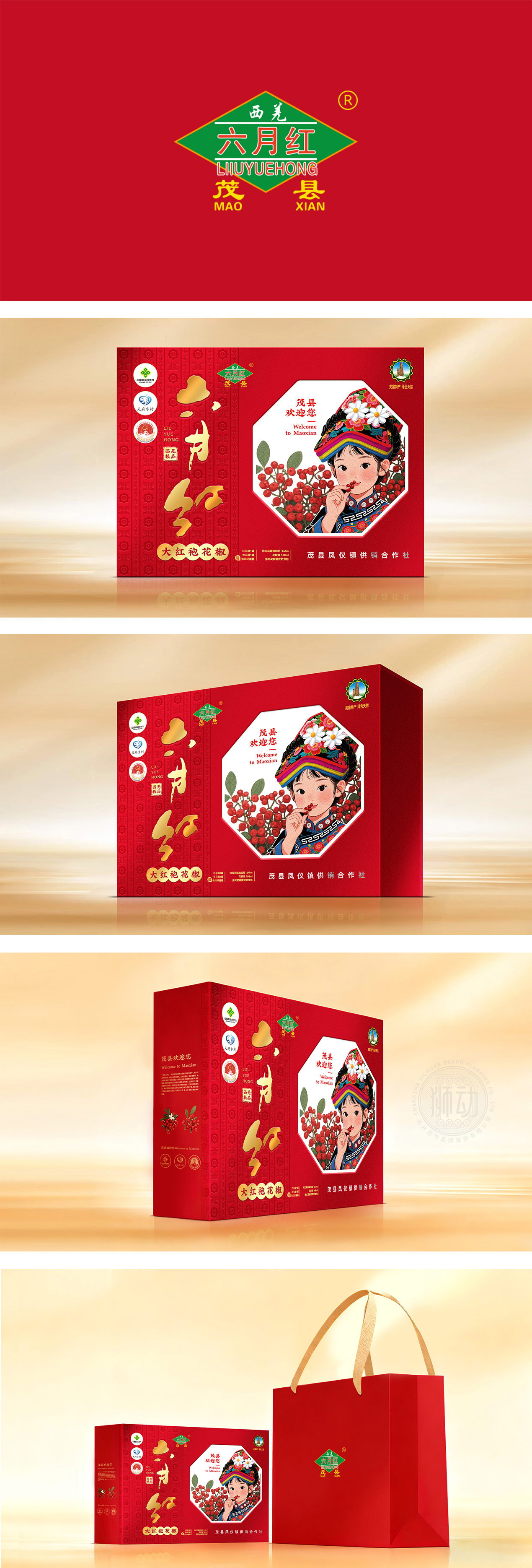 食品饮品调味料国风特色豪华礼盒(插画)